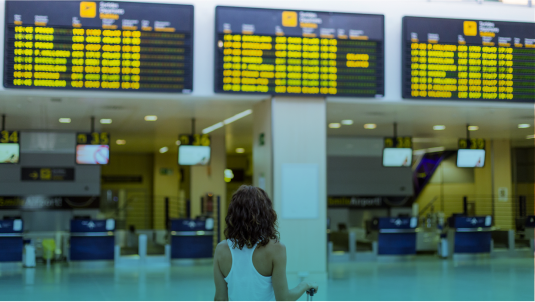 Pre-Departure Guidelines